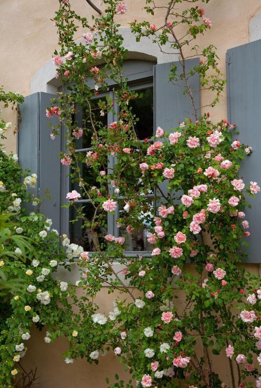 Logis Hotel - Restaurant La Marbrerie Caunes-Minervois 客房 照片